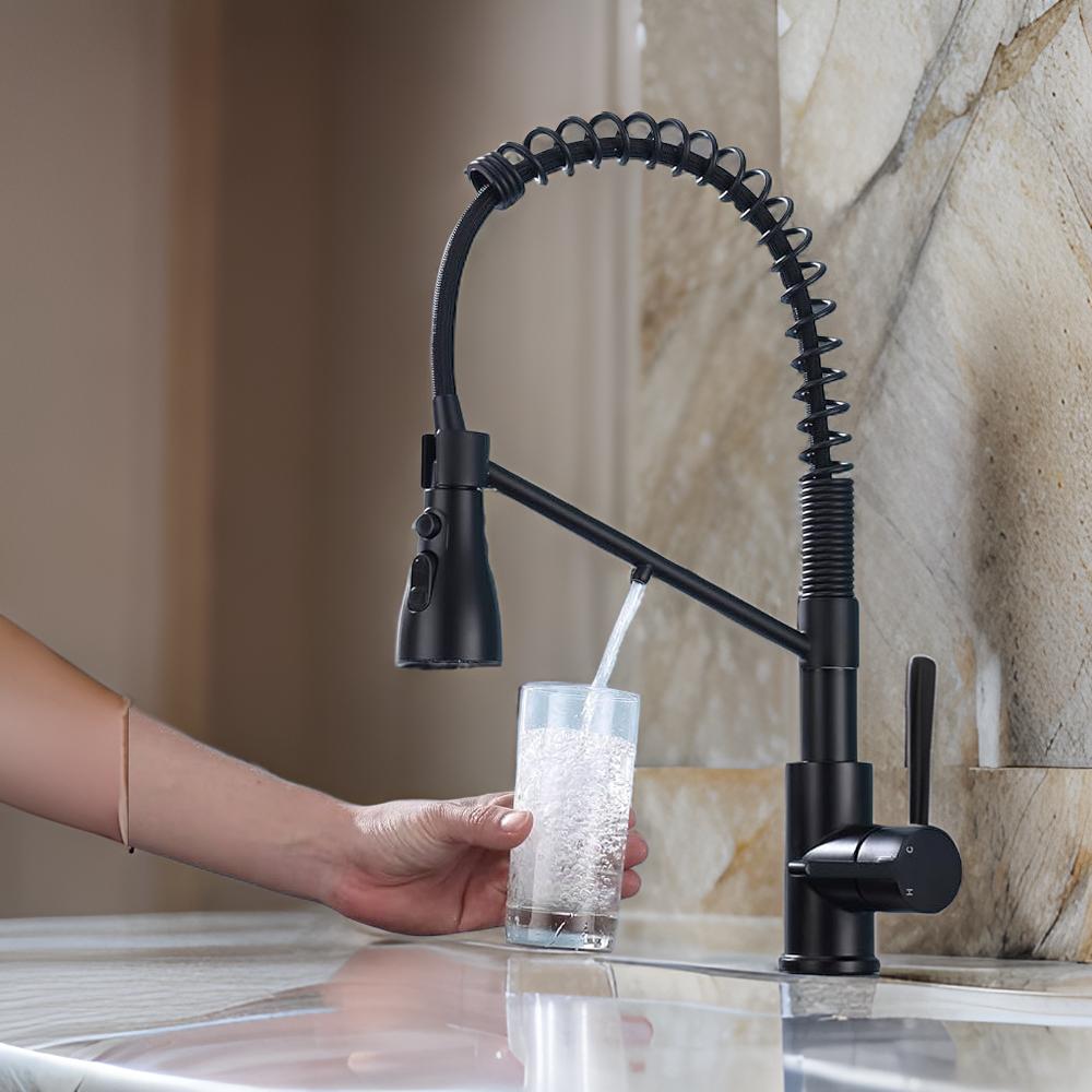 Matte Black Kitchen Faucet